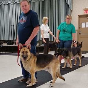 Meet your Posher, Dale